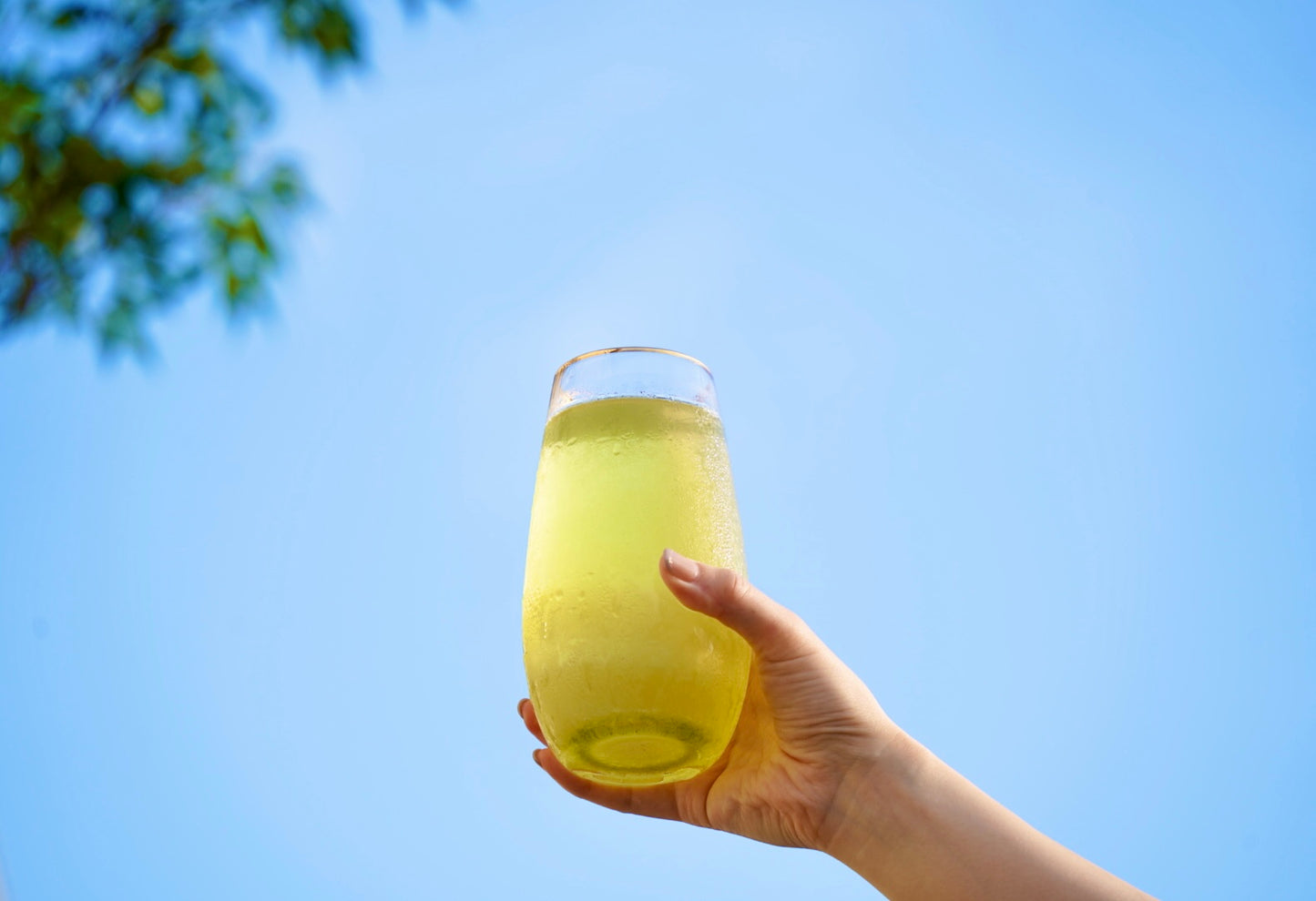 08 JAPANESE GREEN TEA “Summer Edition”【水出し煎茶】ティーバッグ
