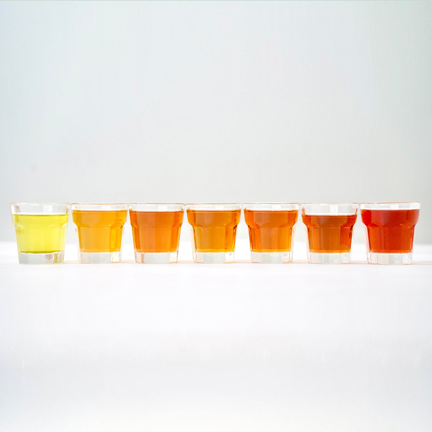 <クリックポスト専用> chittö おすすめ 8種のJAPANESE TEA 飲み比べセット 各種ティーバッグ3個入