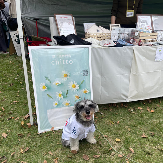 髭犬祭2025にてご来店いただきありがとうございました！