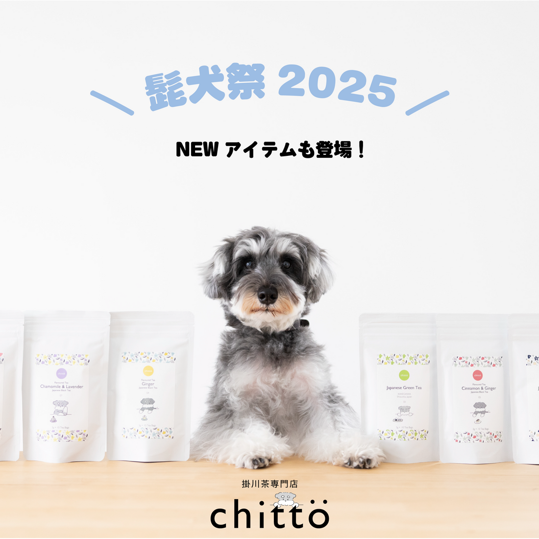 髭犬祭2025に出店します！