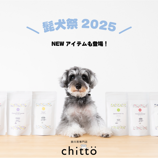 髭犬祭2025に出店します！