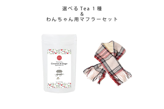 3 types of JAPANESE TEA &amp; dog muffler gift set with Dogs. series (Schnauzer) to choose from