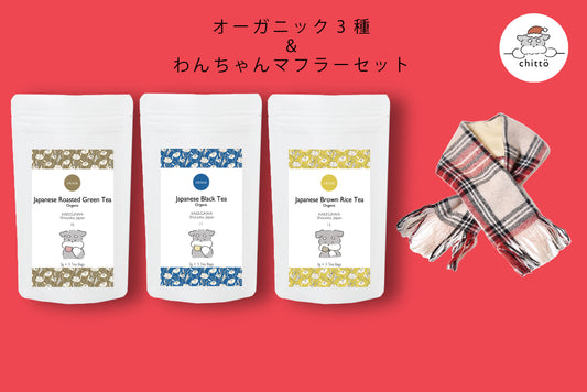 3種のオーガニックJAPANESE TEA＆わんちゃん用マフラー　ギフトセット　with Dogs.シリーズ（シュナウザー）