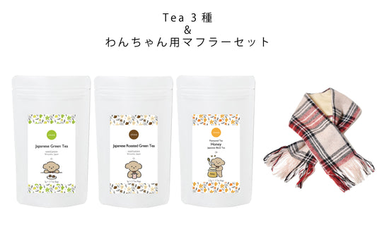 人気3種のJAPANESE TEA＆わんちゃん用マフラー　ギフトセット（プードル）