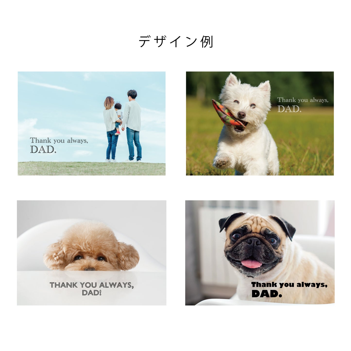 【名入れ】オリジナルメッセージを入れられる！フォトと選べる Tea 1種　ギフトセット（シュナウザー）