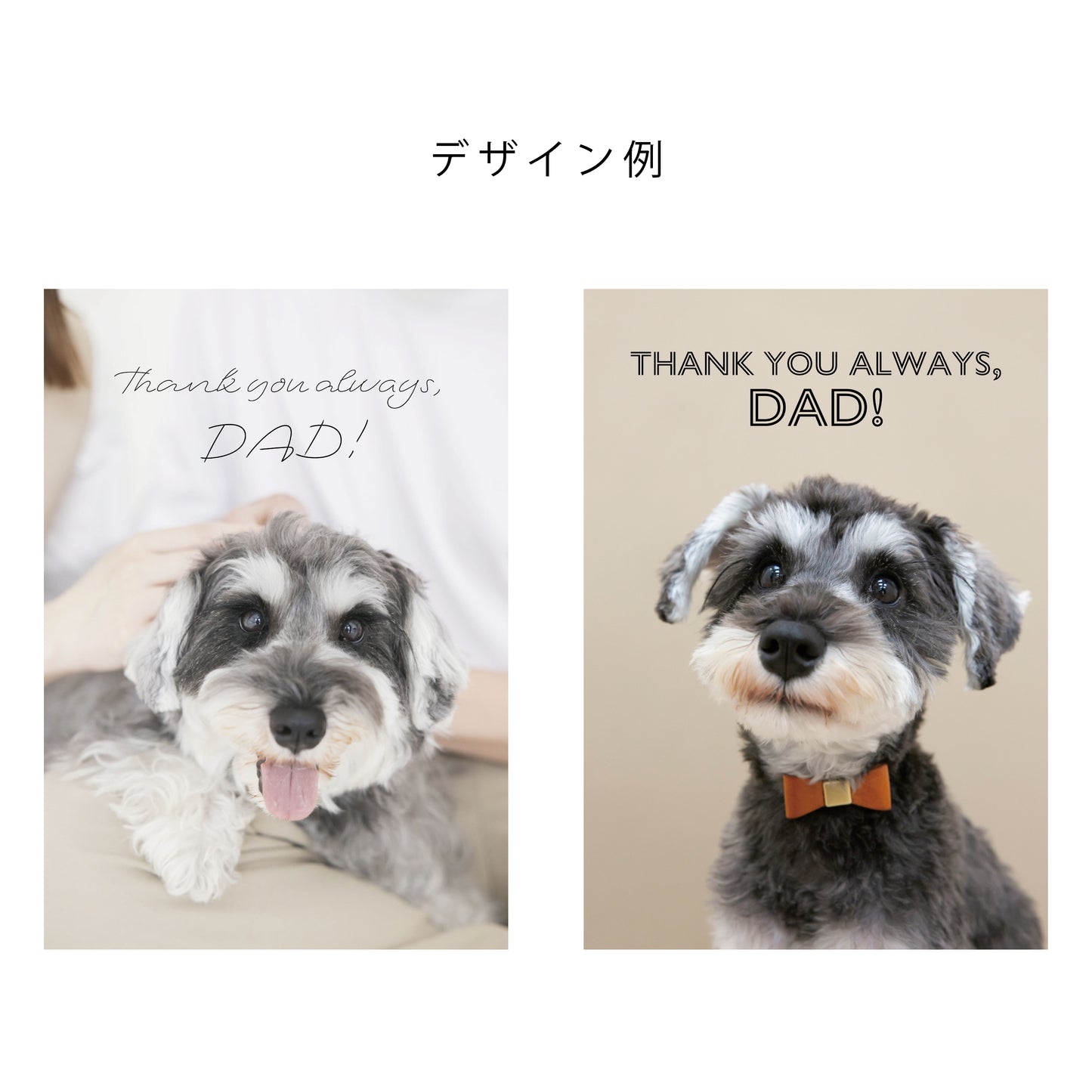 【名入れ】オリジナルメッセージを入れられる！フォトと選べる Tea 1種　ギフトセット（シュナウザー）
