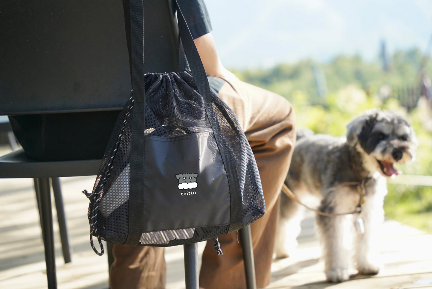 3 types of JAPANESE TEA gift sets to choose from with Dogs. Series (Schnauzer)