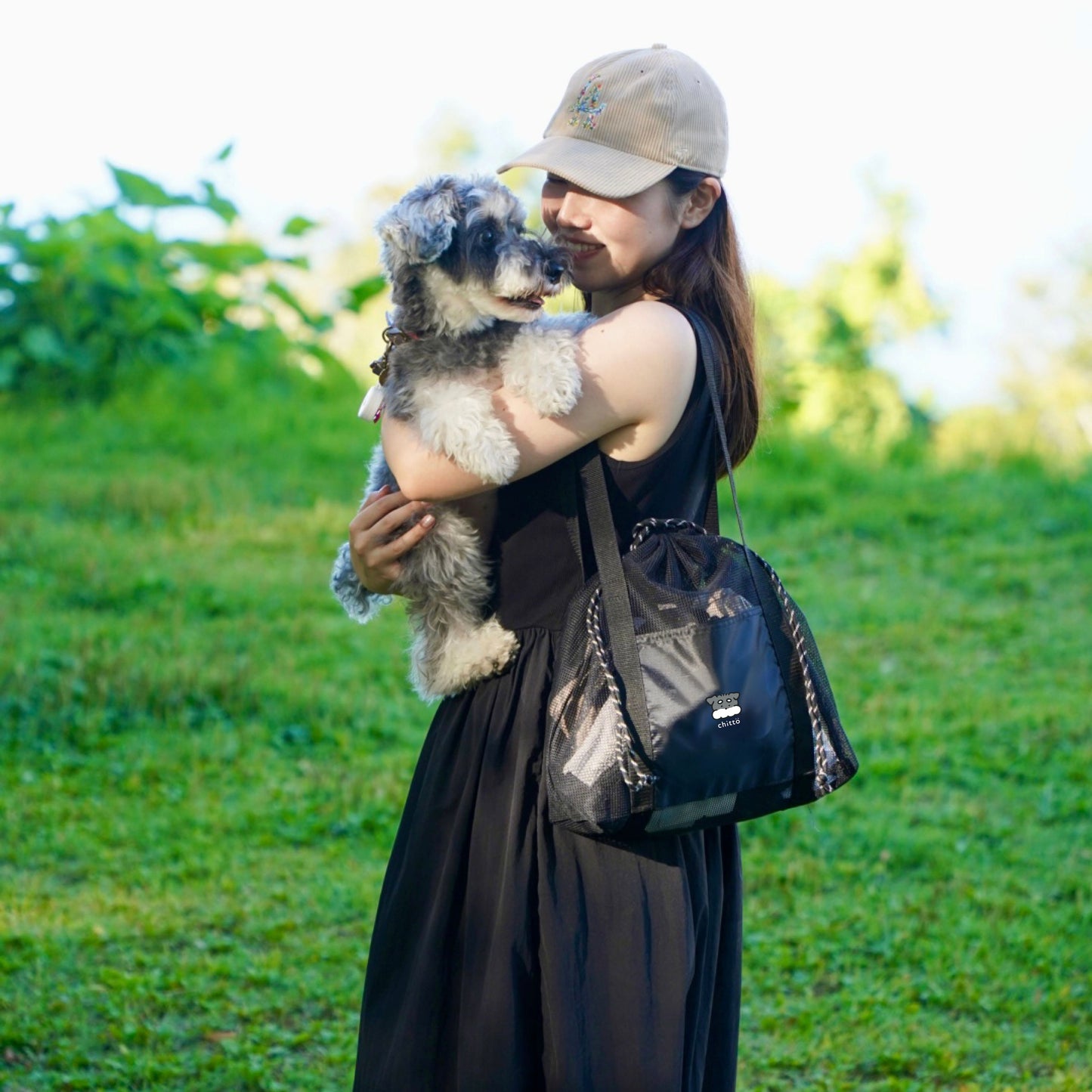 3 types of JAPANESE TEA gift sets to choose from with Dogs. Series (Schnauzer)